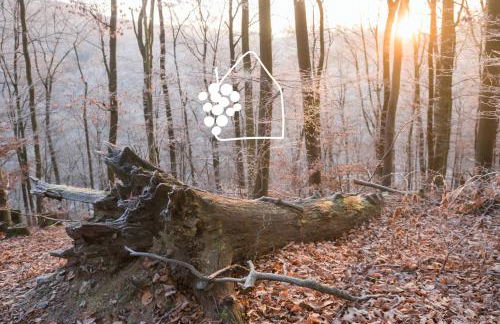 Das Winzereck - 4 Sterne Ferienhaus in der Südpfalz - Foto 43