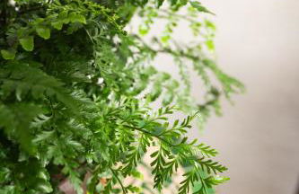 Home2Book La Casita del Muelle - Foto 22