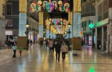 Gran apartamento Larios - Foto 1