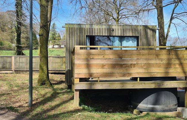 Etape en forêt - Foto 14