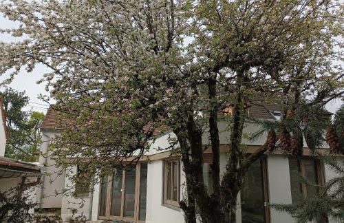 L'Arboré, maison d'architecte avec hammam - Foto 45