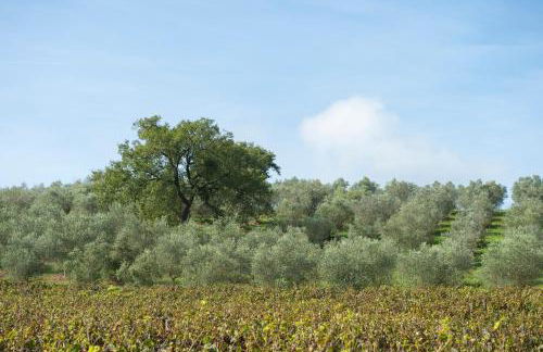 Agriturismo Poggio Corbello - Foto 67