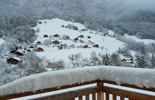 Chalet Génie des Alpages, 8 personnes, proche stations - Foto 21