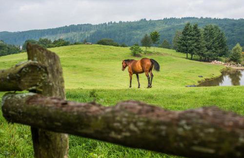 Apartamenty Kaszuby - Foto 3