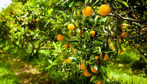 Relax A Lodge - Foto 5