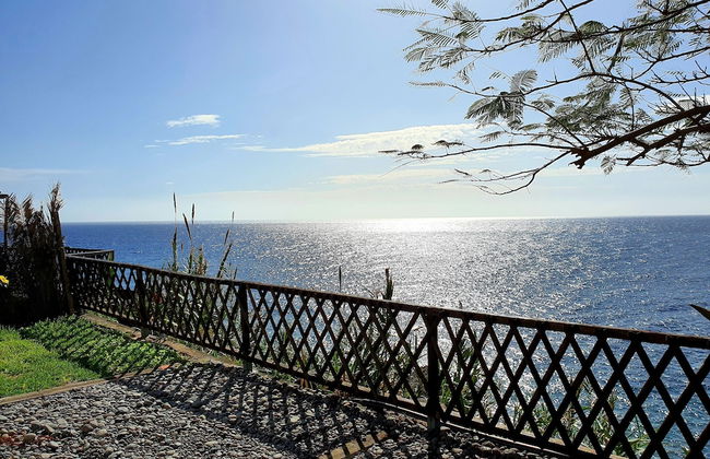 Fajã dos Padres - Foto 9