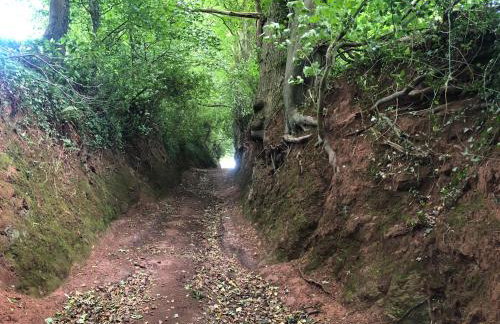 Orient House - Foto 30