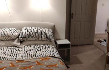 Willowbank - Photo 12