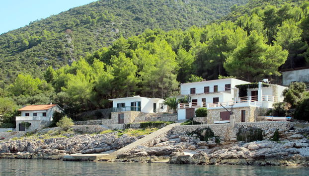 Tina - Foto 2, House