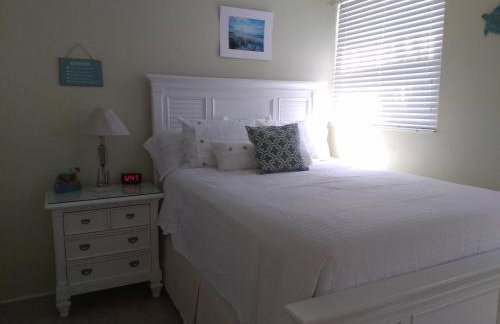 Sea Palm E - Foto 10