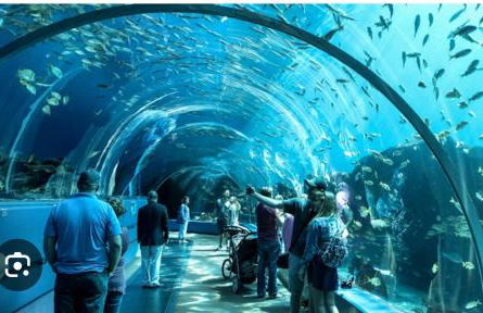 1280 Bungalow - Foto 37