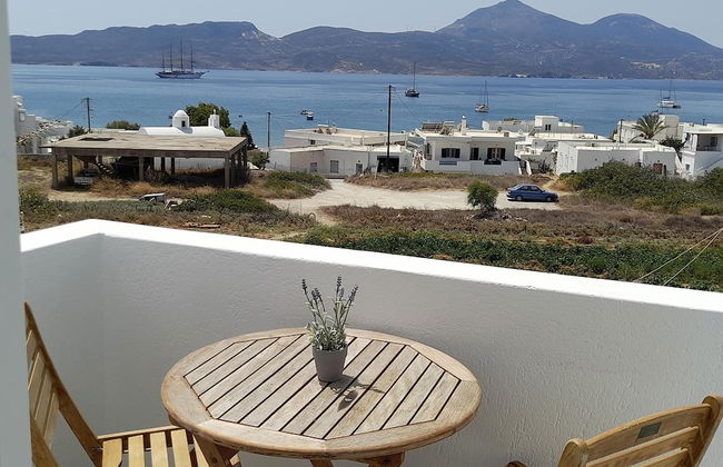 Ippocampos - Foto 53