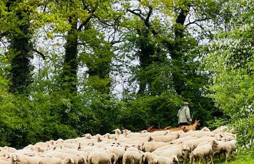 Ferienhaus Schott Prichsenstadt - Foto 49