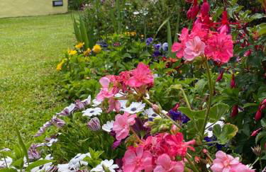 Casa de Prazeres - Foto 80