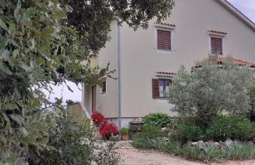 Kelk Loznati - Foto 2