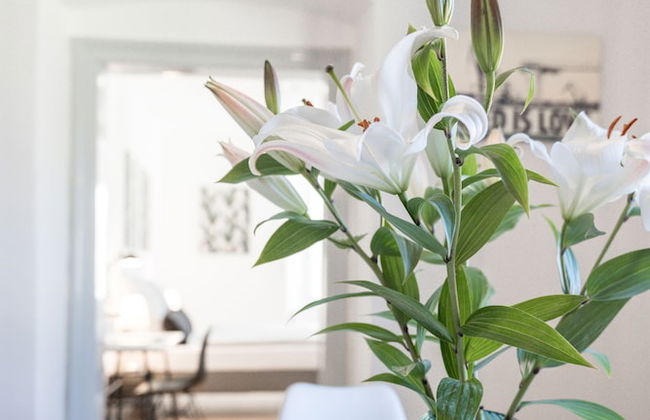 InnsbruckHomes at Botanical Garden - Foto 72