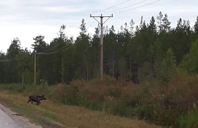 Old Post Office now Cosy Apartment Close to Nature - Foto 12