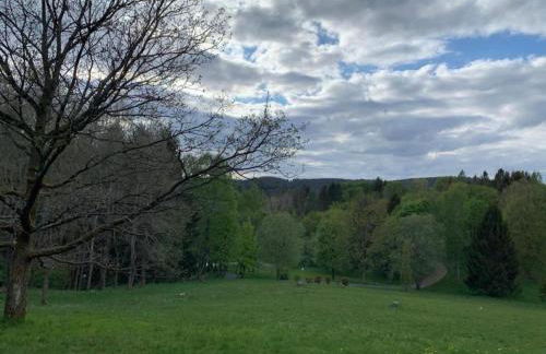 Apartment in Wildemann Near Hahnenklee Ski Area - Foto 57