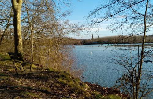 Le petit jazz du lac - Photo 16