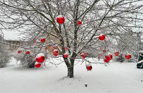 Mosel Urlaub Stabenhof - Whirlpool, Natur und Grill - Foto 17