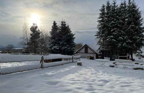 Das Falken Nest - Foto 12