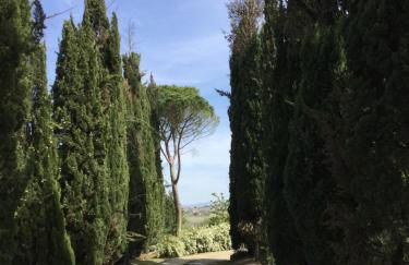 Villa with pool in Montepulciano - Foto 10