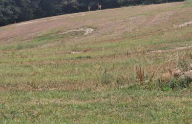 Gîte des chardreaux - Foto 10