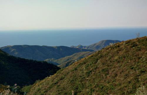 Cedra 5, Holiday home, cosy apartment - Photo 49