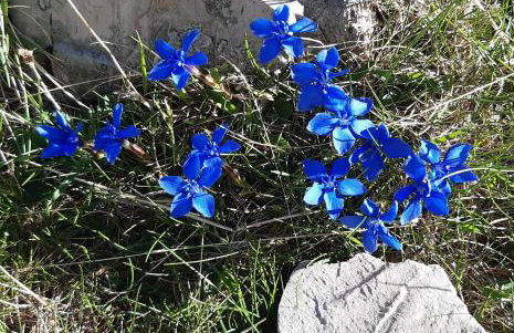 Charmant appartement avec espace détente - Photo 17