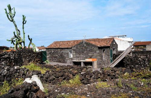 Adega Maciel - Photo 24