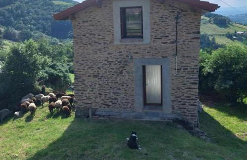 Gîte rénové avec terrasse et animaux acceptés à Saint-Chamond - FR-1-496-324 - Foto 6