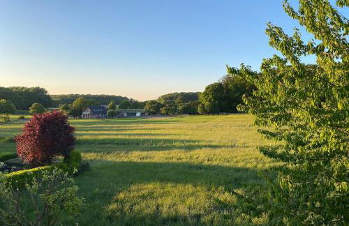 Baumberger Blick - Foto 17