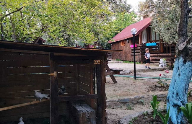 Zeytindagi Bungalow - Foto 50