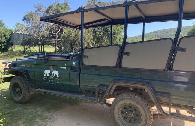 Sunshine Modern Retreat - Photo 26