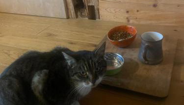 Ferienwohnung auf dem Land, Haus Hans Stepha - Foto 3