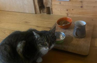 Ferienwohnung auf dem Land, Haus Hans Stepha - Foto 3