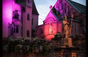 Gite Edelweiss à Eguisheim - Foto 53