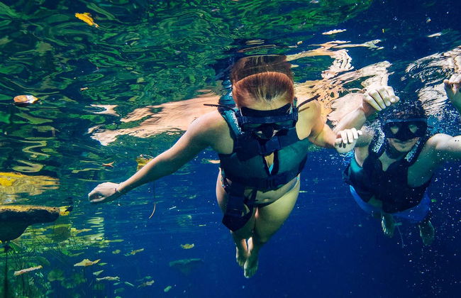 Xenotes Day Trip - Photo 1