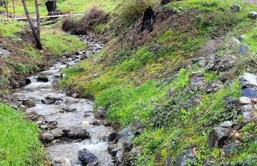 Charming, Pet-friendly Glamping Vacation Rental in Northern California - Foto 4