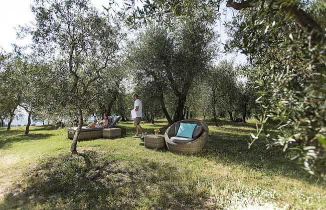 Agriturismo Fattoria Lavacchio - Foto 80