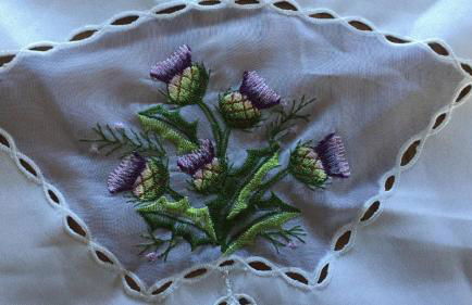 Pippin, Tranquil Scottish Cottage with Hot Tub - Foto 27