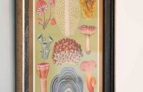 *Stunning* The Botanist Rest Ventnor IOW - Foto 15