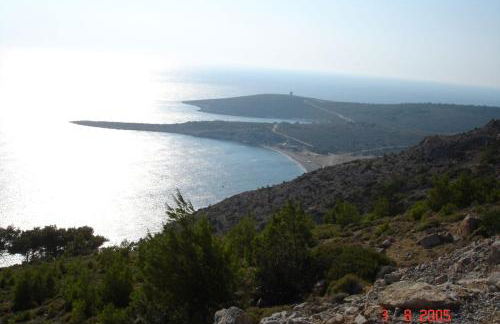 White lilies the house of gourmet flavours - Foto 50