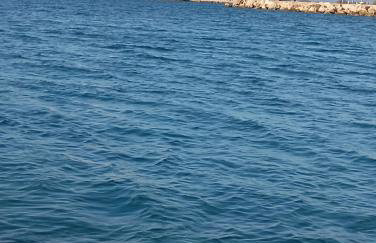 Margaritas Cottage - Foto 43