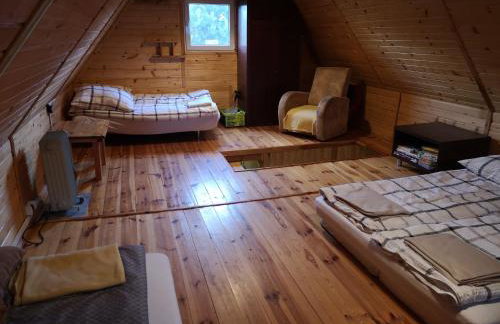 domki nad jeziorem, las, do 10 osób jezioro Wilczyńskie Budzisławskie - domek letniskowy osobno ogrodzony, ogrzewany mile widziane pieski, zwierzeta- wielkopolska, 62-550 Zygmuntowo gm Wilczyn - Photo 24