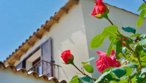 Le 3 Rose apartments - Foto 2