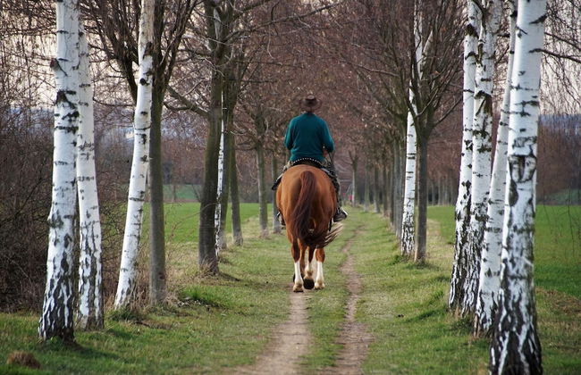 Spacious Stay With Terrace - Foto 30