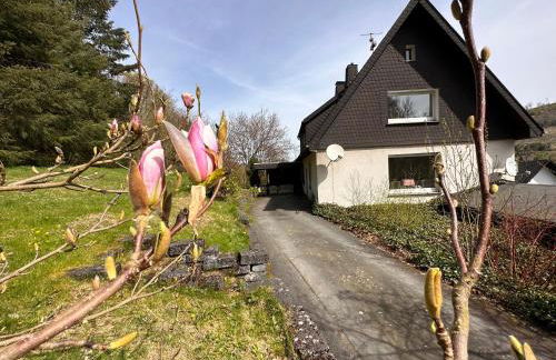 VILLA WALDHAUS WILLINGEN SAUERLAND - Charming Villa near Forest for 12 Guests with Huge Garden - Nearby Winter Sports Area with Ski Slope - Hiking and Nature - Foto 24