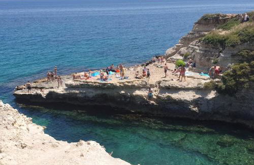 Corte Regina - Foto 29