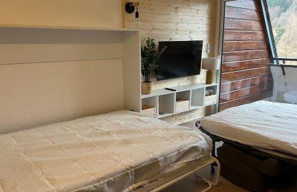 Studio cosy Mont-Dore avec vue, balcon, parking - Foto 12